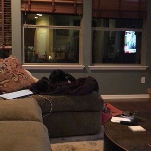 Meet your Posher, Craig